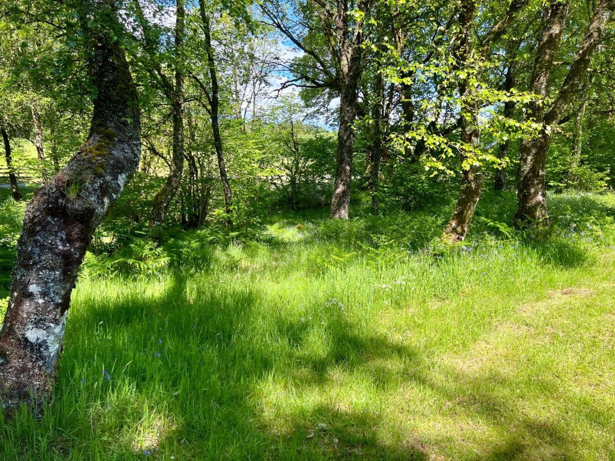 Fern Lodge Dalavich Εξωτερικό φωτογραφία